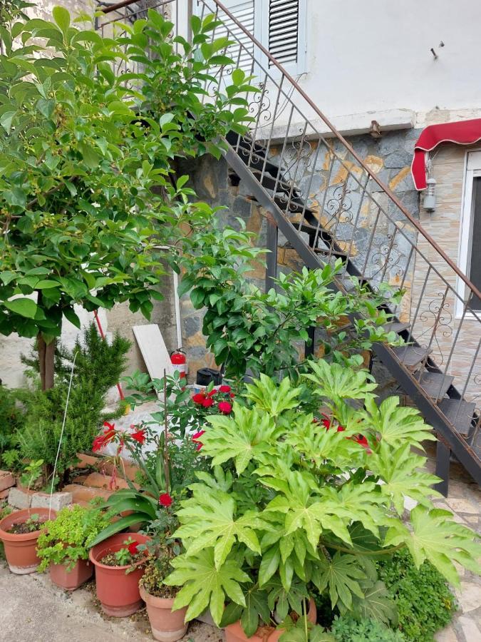 Herta Apartment เบราท ภายนอก รูปภาพ